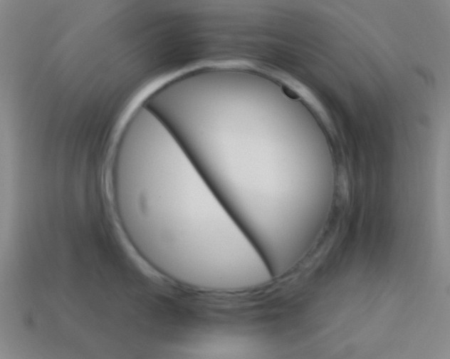 X0000114700959200910211006