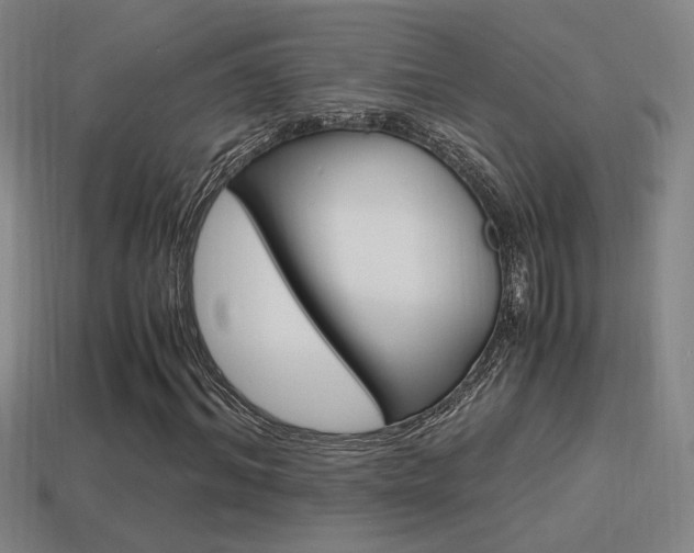X0000114700964200910211006