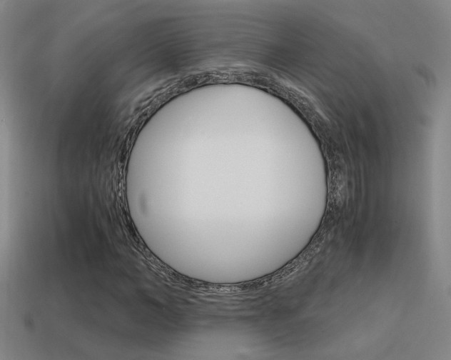 X0000114700966200910211006