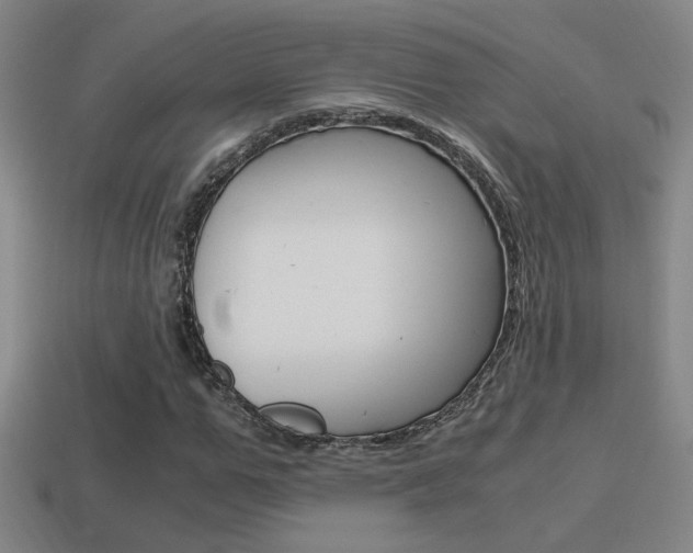 X0000114700967200910211006