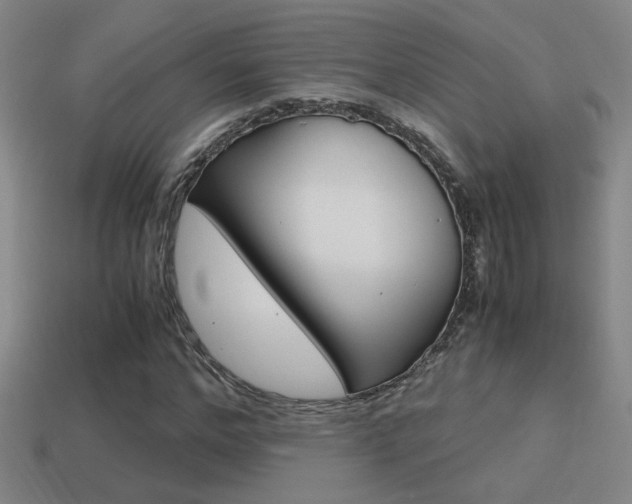 X0000114700968200910211006
