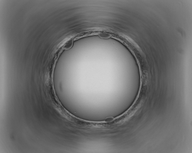 X0000114700969200910211006