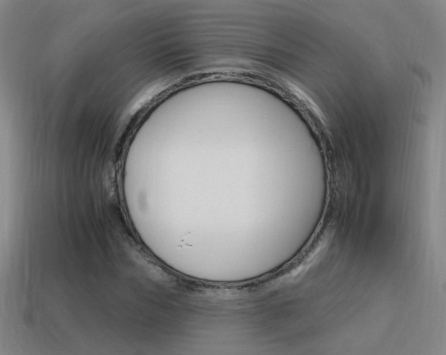 X0000114700970200910211006