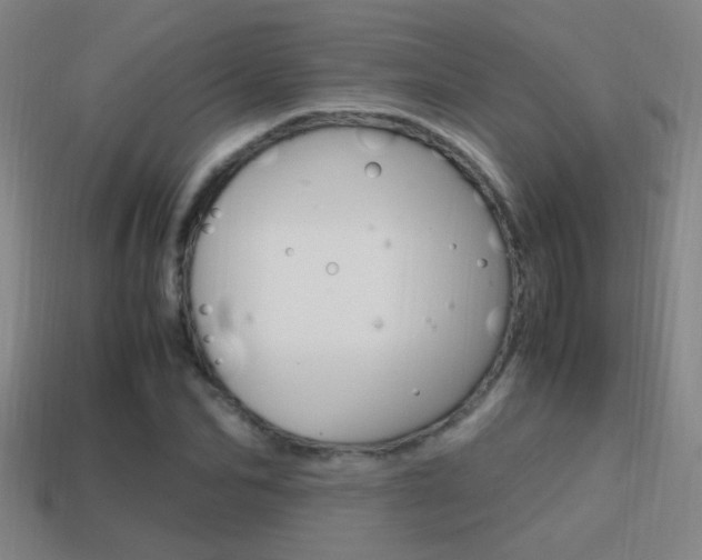 X0000114700974200910211006