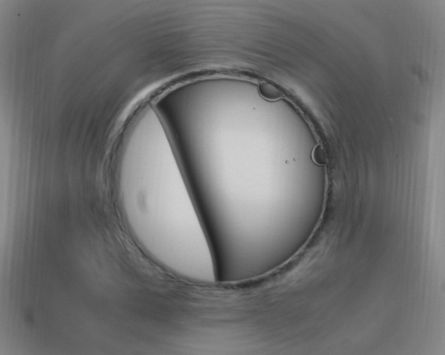 X0000114700975200910211006