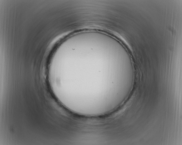 X0000114700979200910211006