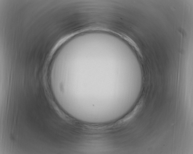 X0000114700981200910211006