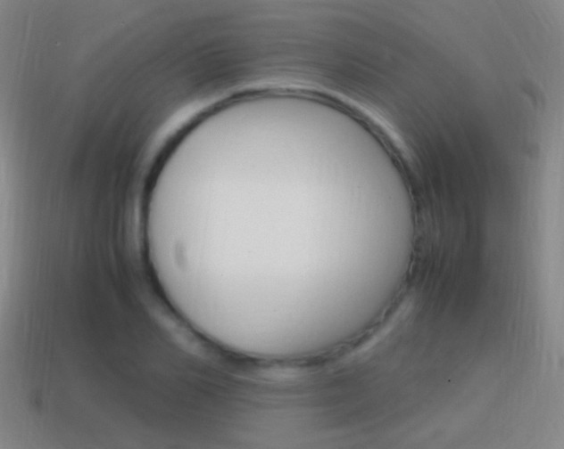 X0000114700982200910211006