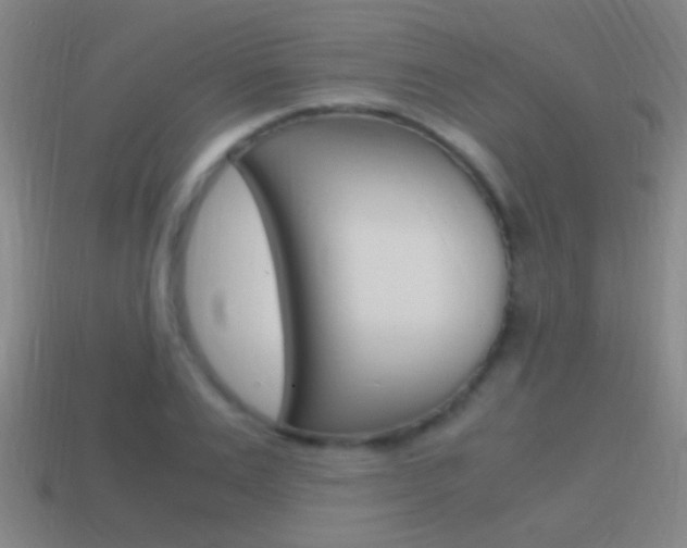 X0000114700983200910211006