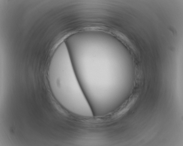 X0000114700985200910211006