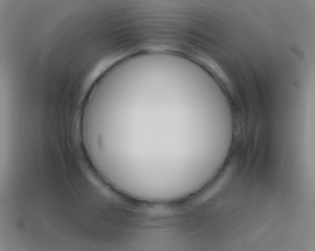 X0000114700986200910211006