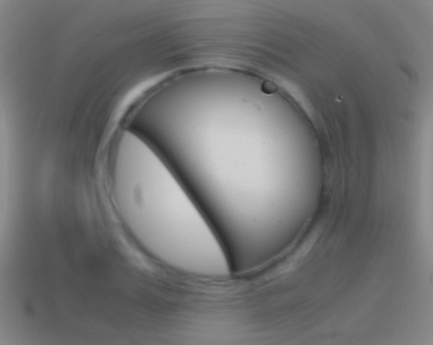 X0000114700987200910211006