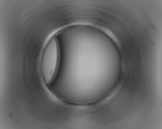 X0000114700988200910211006