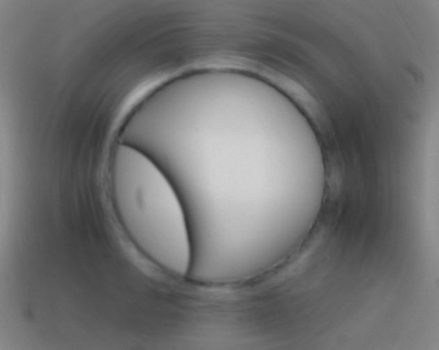 X0000114700990200910211005