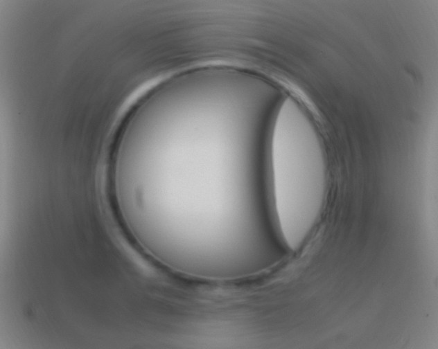 X0000114700991200910211005