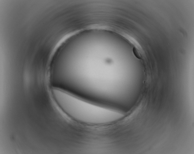X0000114700992200910211005