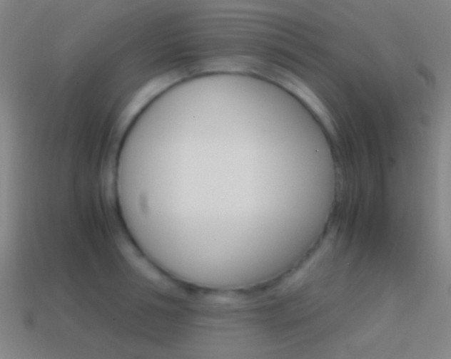 X0000114700994200910211005