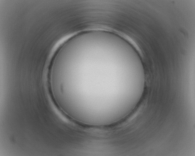 X0000114700995200910211005