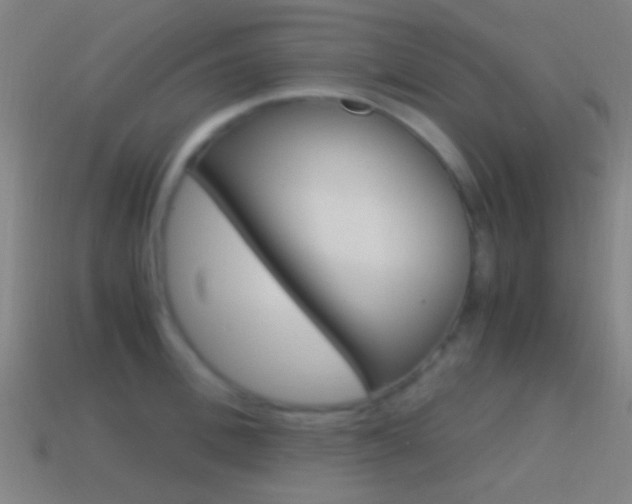 X0000114700996200910211005