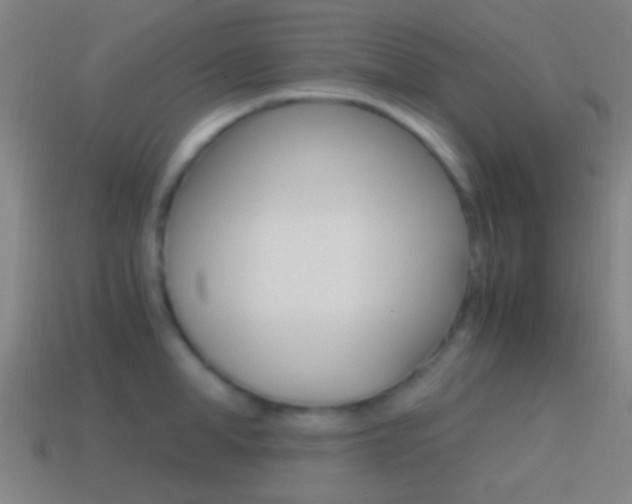 X0000114700998200910211005