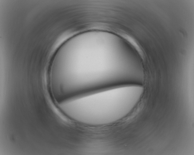 X0000114700999200910211005