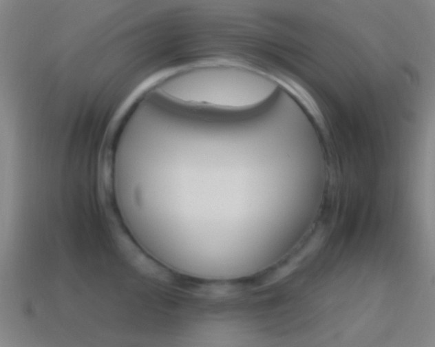 X0000114701000200910211005