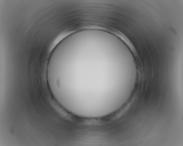 X0000114701002200910211005
