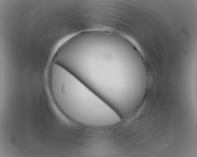 X0000114701003200910211005