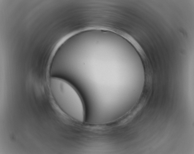X0000114701004200910211005