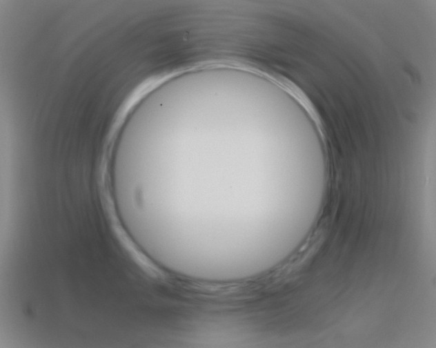 X0000114701005200910211005