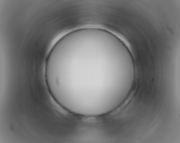 X0000114701006200910211005