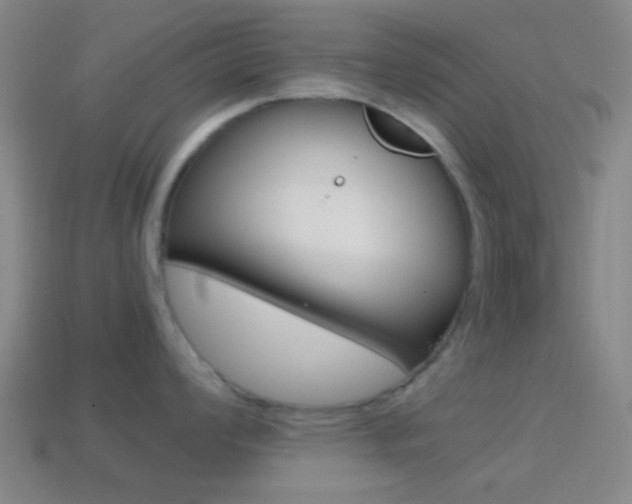X0000114701008200910211005