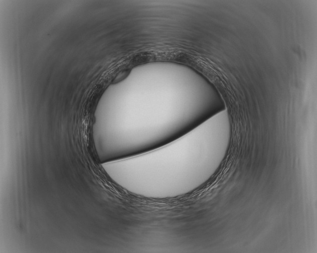 X0000114701010200910211004
