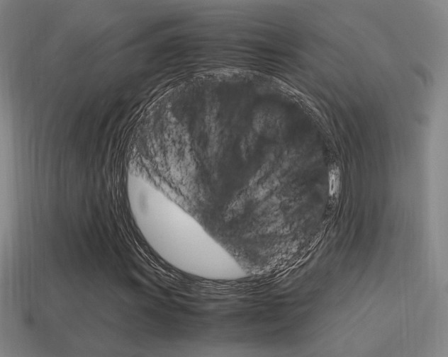 X0000114701011200910211004