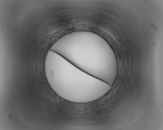 X0000114701013200910211004