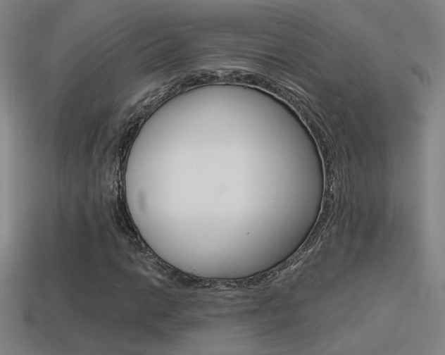 X0000114701014200910211004