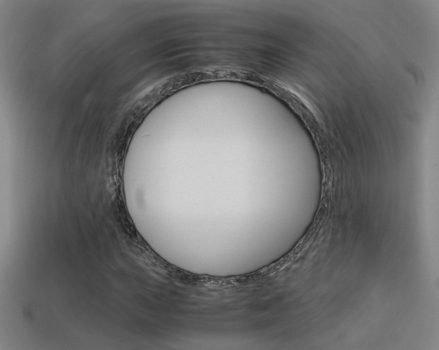 X0000114701015200910211004