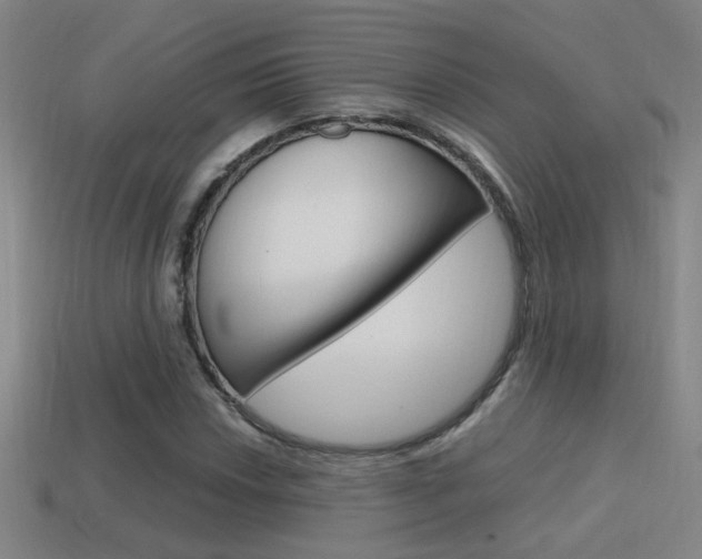 X0000114701018200910211004