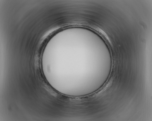 X0000114701019200910211004