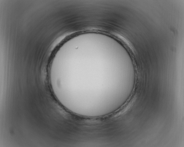 X0000114701023200910211004