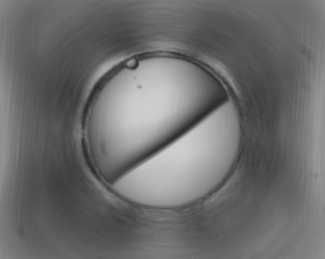 X0000114701024200910211004