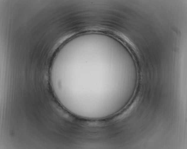 X0000114701025200910211004
