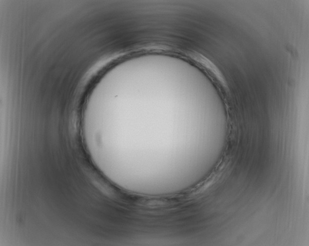 X0000114701027200910211005