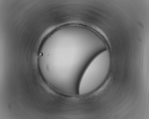 X0000114701029200910211005