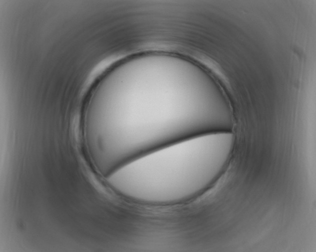 X0000114701030200910211005