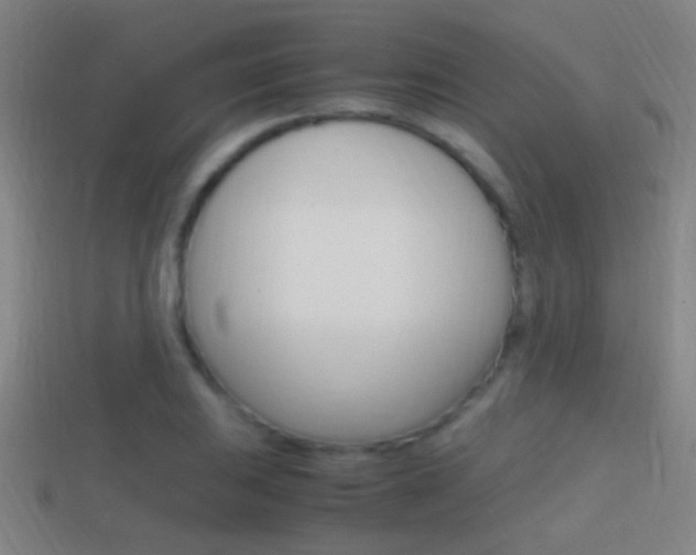 X0000114701031200910211005