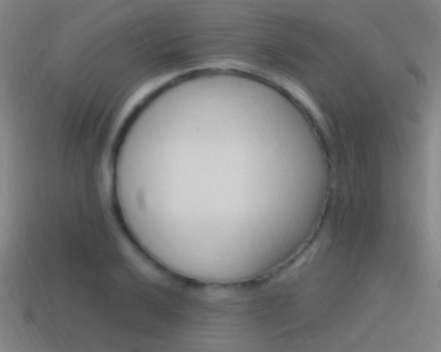 X0000114701032200910211005