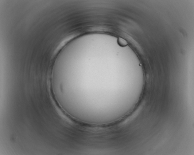 X0000114701033200910211005