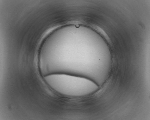 X0000114701035200910211005
