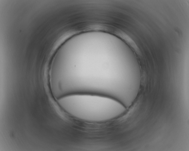 X0000114701039200910211005